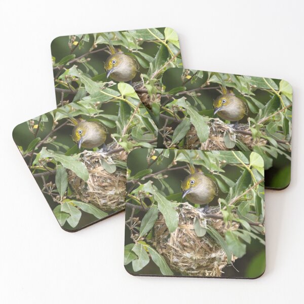 Item preview, White Eyed Vireo and Nest designed and sold by smacdonn.