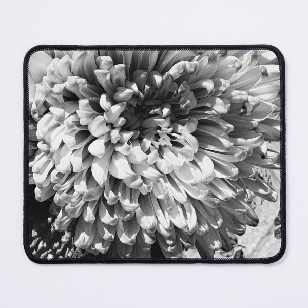Item preview, Black and White Flower  designed and sold by mariaalexart22.