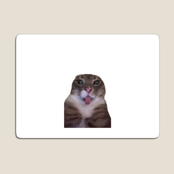 Artikelvorschau, Süße, lustige Katze entworfen und verkauft von yotovarchik.