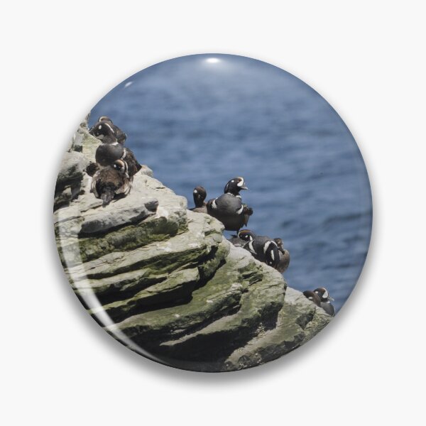 Item preview, Harlequin Ducks designed and sold by Sometimes-store.