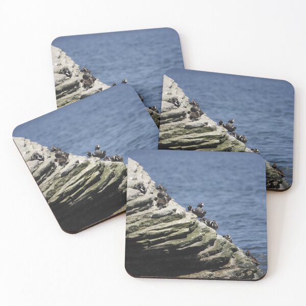 Item preview, Harlequin Ducks designed and sold by Sometimes-store.