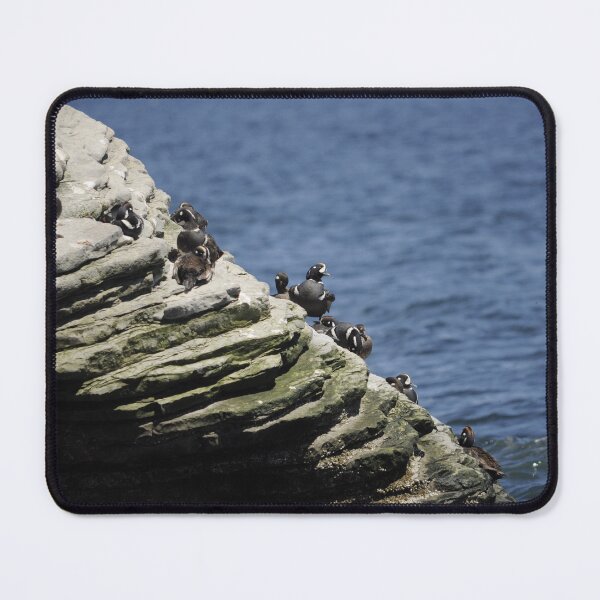 Item preview, Harlequin Ducks designed and sold by Sometimes-store.