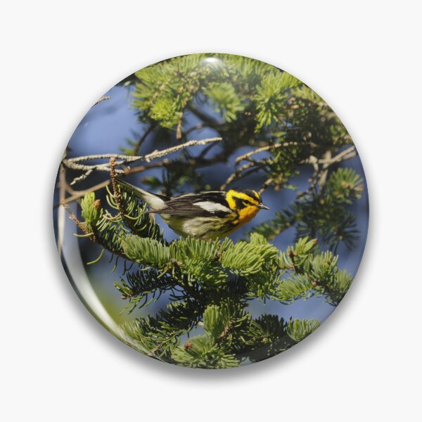 Item preview, Blackburnian Warbler designed and sold by Sometimes-store.