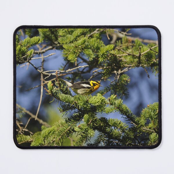 Item preview, Blackburnian Warbler designed and sold by Sometimes-store.