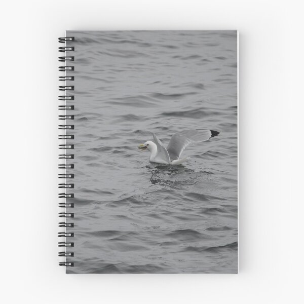 Item preview, Kittiwake Eating designed and sold by Sometimes-store.