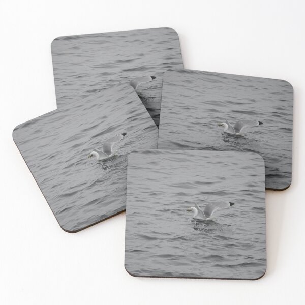 Item preview, Kittiwake Eating designed and sold by Sometimes-store.