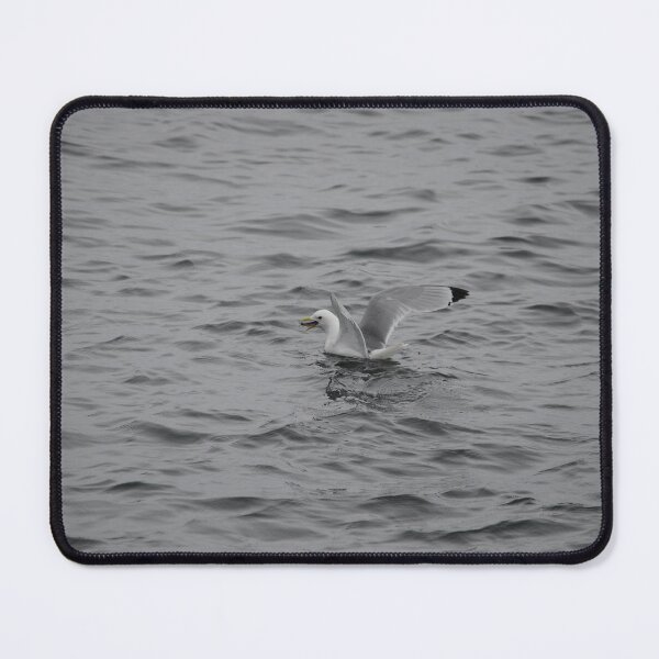 Item preview, Kittiwake Eating designed and sold by Sometimes-store.