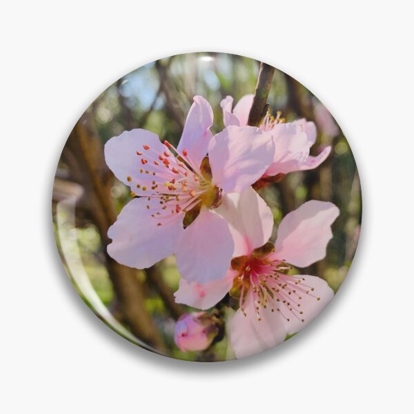Item preview, Blooming peach tree flowers closeup designed and sold by simeonred.