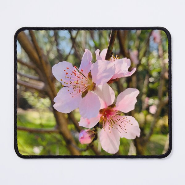 Item preview, Blooming peach tree flowers closeup designed and sold by simeonred.