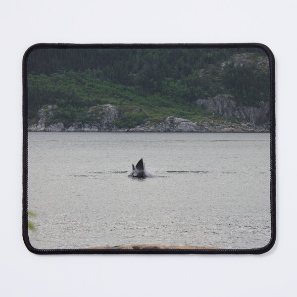 Item preview, Minke Whale Feeding designed and sold by Sometimes-store.
