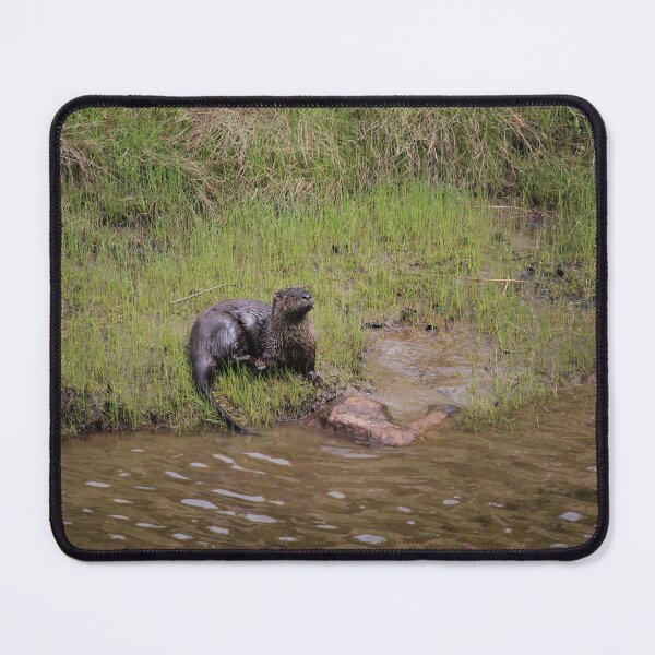 Artikelvorschau, Flussotter entworfen und verkauft von Sometimes-store.