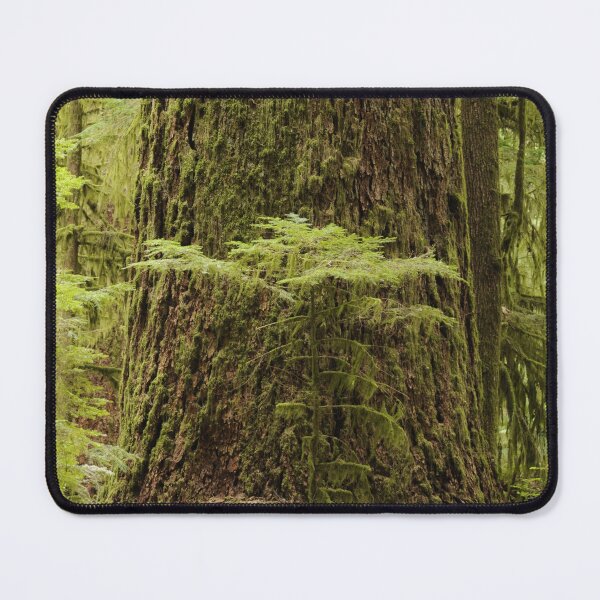 Item preview, The Big Tree designed and sold by Sometimes-store.