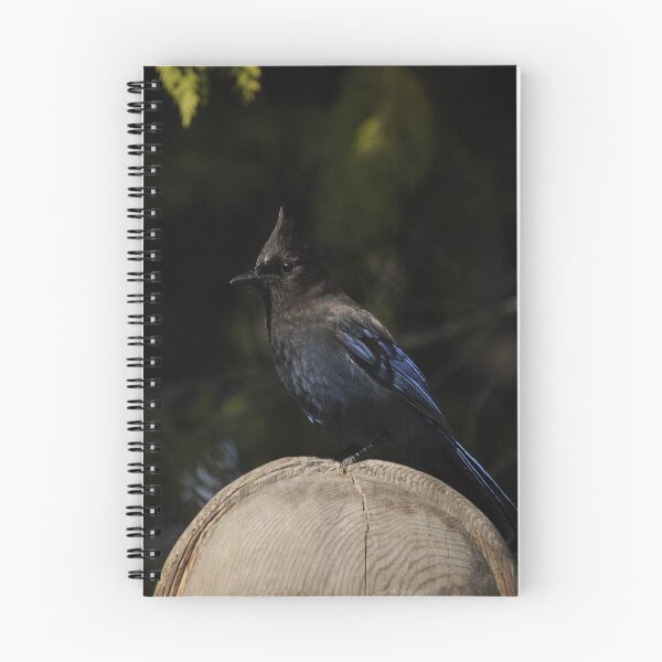 Item preview, Steller's Jay designed and sold by Sometimes-store.
