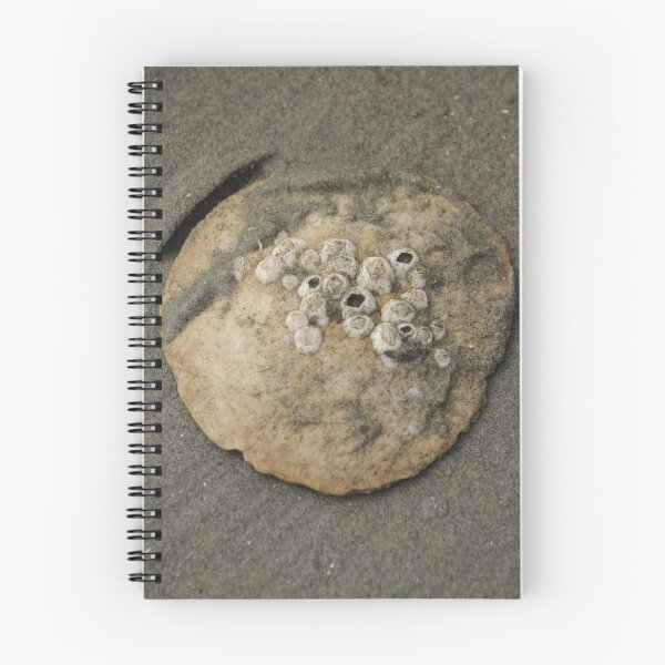 Item preview, Sand Dollar designed and sold by Sometimes-store.