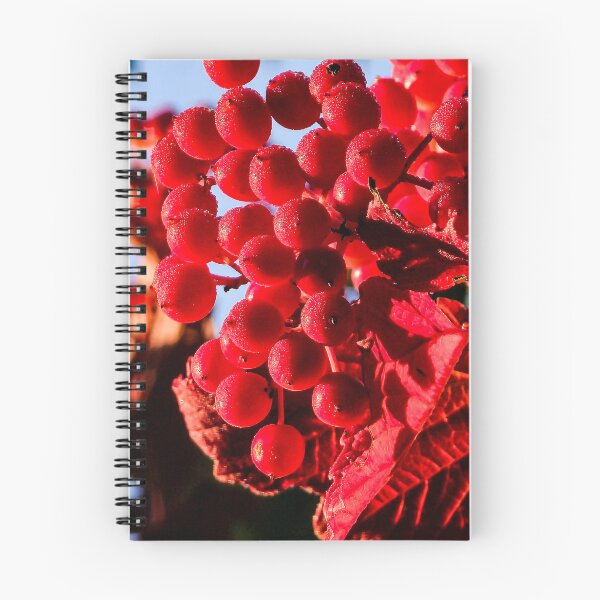 Item preview, The Scarlet Gathering designed and sold by InkOptic Photography.