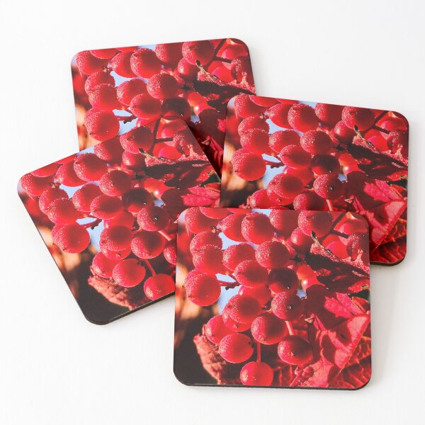 Item preview, The Scarlet Gathering designed and sold by InkOptic Photography.