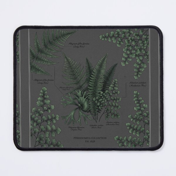 Item preview, Fern Shirt – Victorian Herbarium Dark Academia Botanical Illustration Tee designed and sold by DmaarGroup.