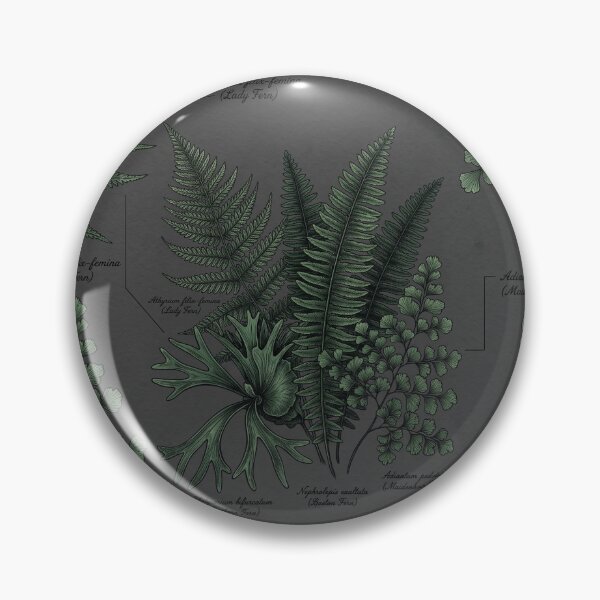 Item preview, Fern Shirt – Victorian Herbarium Dark Academia Botanical Illustration Tee designed and sold by DmaarGroup.