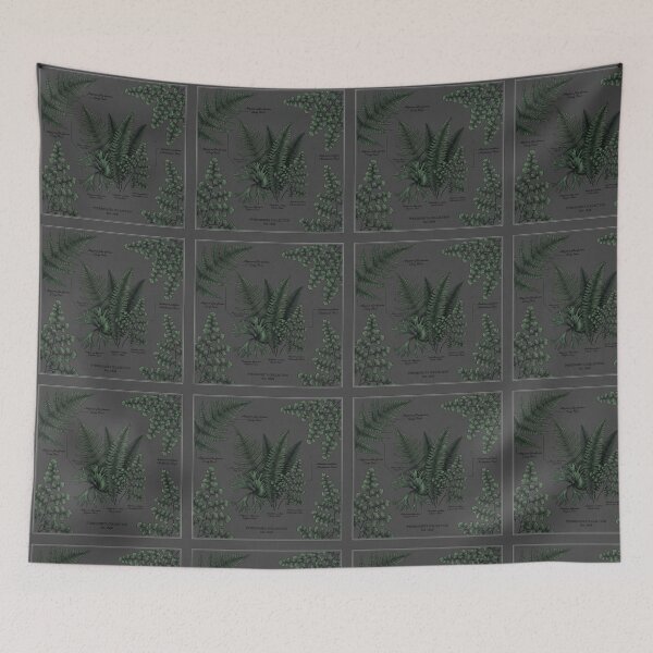 Item preview, Fern Shirt – Victorian Herbarium Dark Academia Botanical Illustration Tee designed and sold by DmaarGroup.