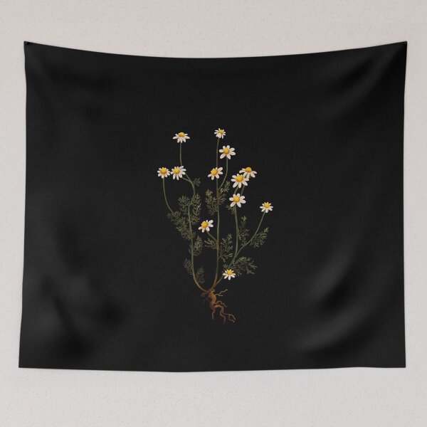 Item preview, Chamomile Botanical Illustration Study designed and sold by katherineblower.