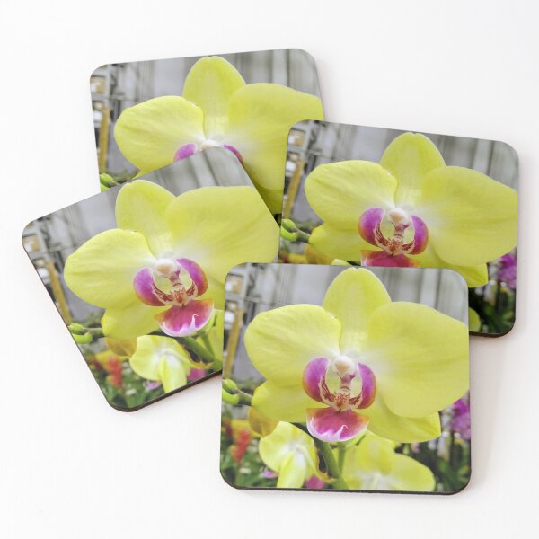 Item preview, Quiet Bloom - Bright Yellow Orchid - Purple Accents - Vibrant Macro  designed and sold by QuietBloomDHS.