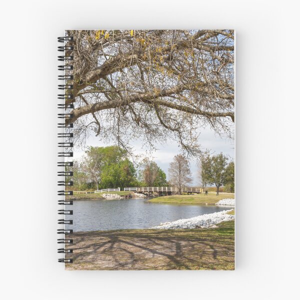 Item preview, Serene Landscape at Winter Garden, Florida designed and sold by jrtwynam.