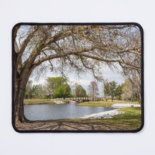 Item preview, Serene Landscape at Winter Garden, Florida designed and sold by jrtwynam.
