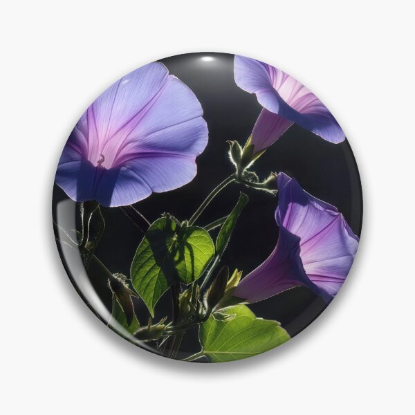 Item preview, Illuminated Morning Glory Flowers on Black designed and sold by Maria Dryfhout.