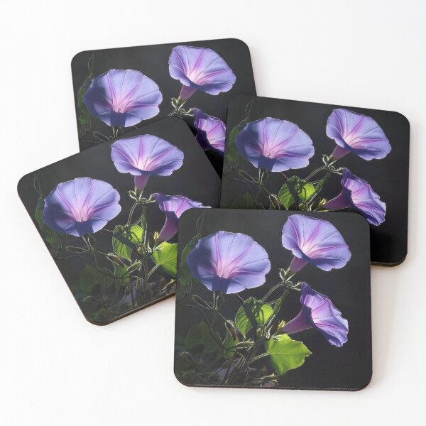 Item preview, Illuminated Morning Glory Flowers on Black designed and sold by Maria Dryfhout.