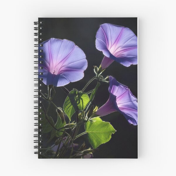 Item preview, Illuminated Morning Glory Flowers on Black designed and sold by Maria Dryfhout.
