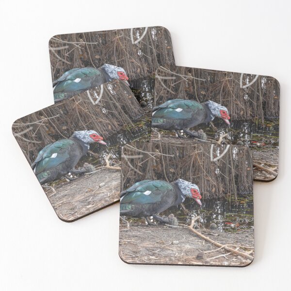 Item preview, Muscovy Duck by the Water designed and sold by jrtwynam.