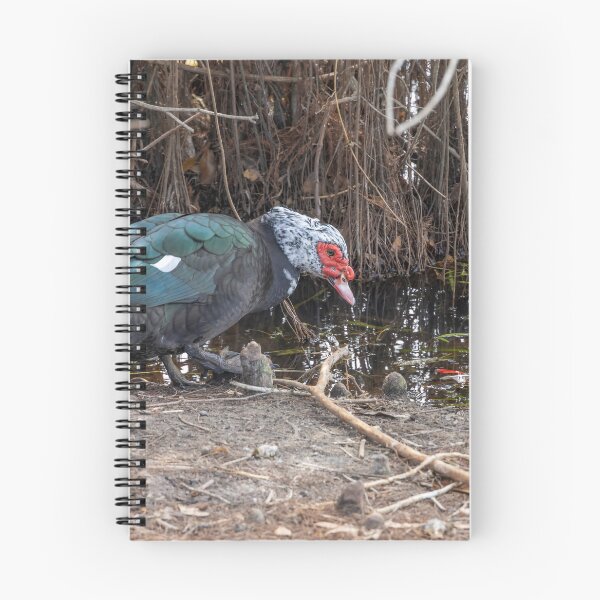 Item preview, Muscovy Duck by the Water designed and sold by jrtwynam.
