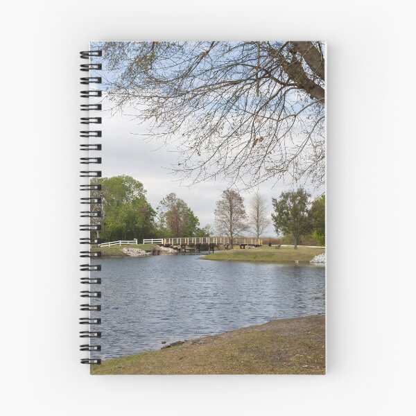 Item preview, Serene Landscape at Winter Garden, Florida 2 designed and sold by jrtwynam.