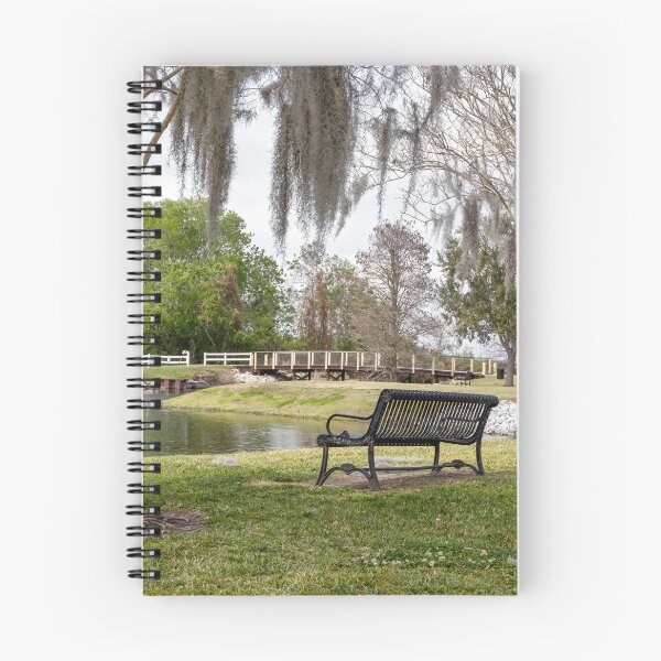 Item preview, Serene Landscape at Winter Garden, Florida 3 designed and sold by jrtwynam.