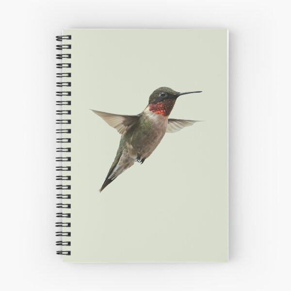 Item preview, Ruby-Throated Hummingbird designed and sold by baegel.