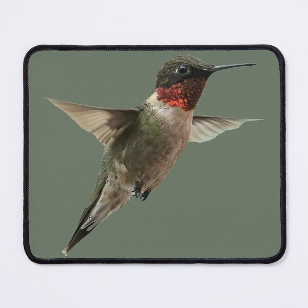 Item preview, Ruby-Throated Hummingbird designed and sold by baegel.