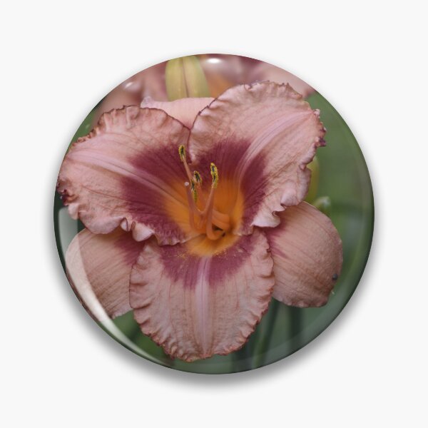 Item preview, Pink Daylily Flowers Vertical Botanical Photo designed and sold by TathataPhotos.