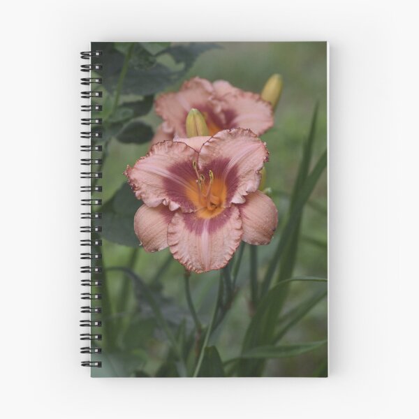 Item preview, Pink Daylily Flowers Vertical Botanical Photo designed and sold by TathataPhotos.