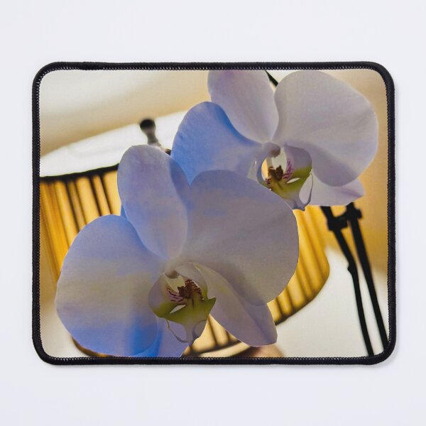 Item preview, Quiet Bloom - Delicate Blue and White Orchid - Gentle Petals Macro designed and sold by QuietBloomDHS.
