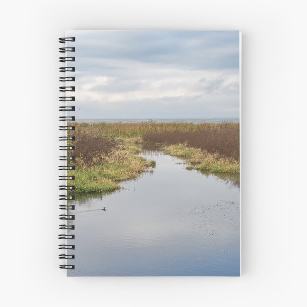 Item preview, Serene Landscape at Winter Garden, Florida 4 designed and sold by jrtwynam.