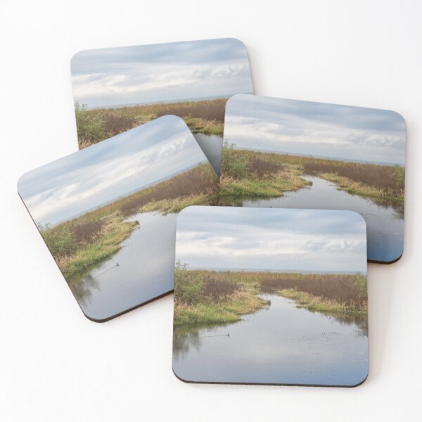 Item preview, Serene Landscape at Winter Garden, Florida 4 designed and sold by jrtwynam.