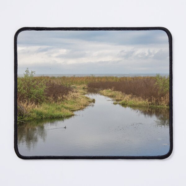 Item preview, Serene Landscape at Winter Garden, Florida 4 designed and sold by jrtwynam.