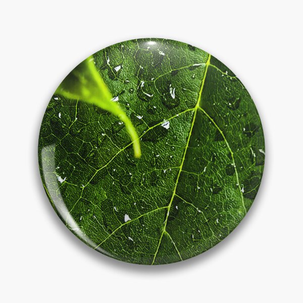 Item preview, Verdant Waters designed and sold by InkOptic Photography.