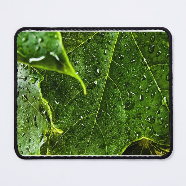 Item preview, Verdant Waters designed and sold by InkOptic Photography.