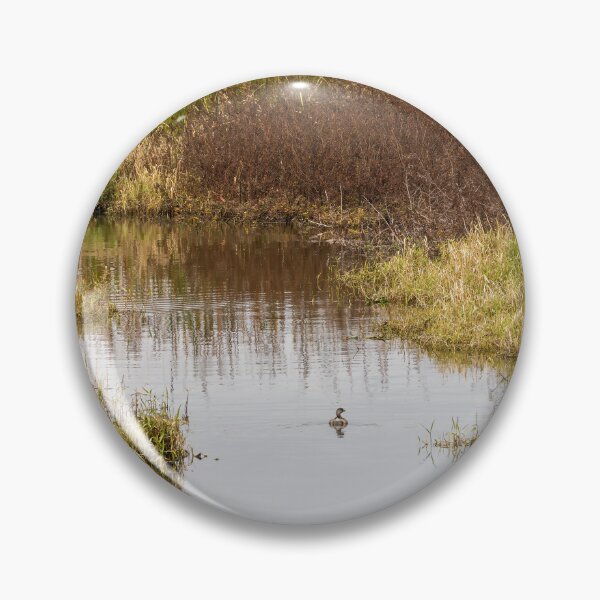 Item preview, Serene Landscape at Winter Garden, Florida 5 designed and sold by jrtwynam.