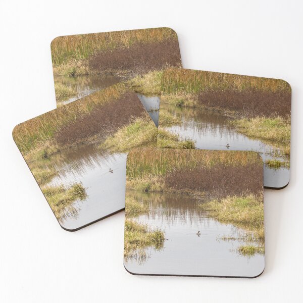 Item preview, Serene Landscape at Winter Garden, Florida 5 designed and sold by jrtwynam.