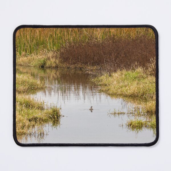 Item preview, Serene Landscape at Winter Garden, Florida 5 designed and sold by jrtwynam.