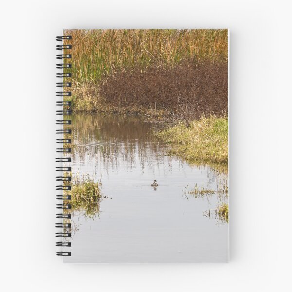 Item preview, Serene Landscape at Winter Garden, Florida 5 designed and sold by jrtwynam.