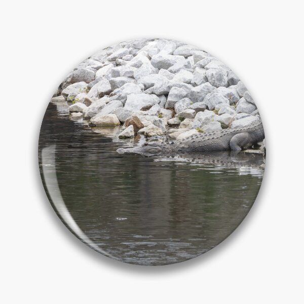 Item preview, Alligator Resting at Riverbank designed and sold by jrtwynam.
