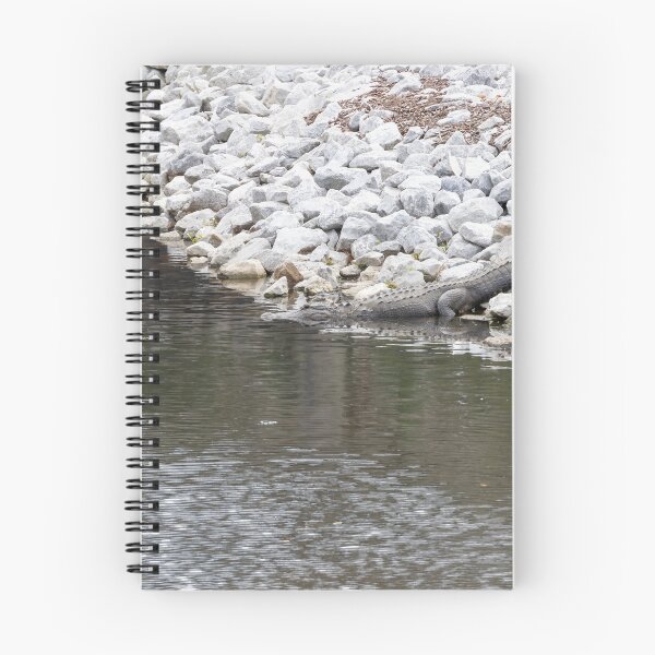 Item preview, Alligator Resting at Riverbank designed and sold by jrtwynam.